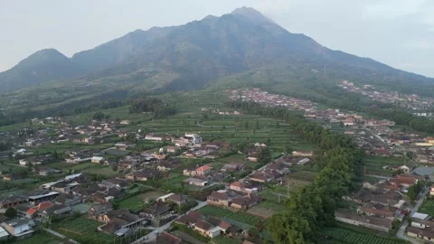 Merapi Volcano mountainside in the morning with vegetable garden Video stock 247353894