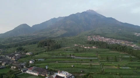 Merapi Volcano mountainside in the morning with vegetable garden Video stock 247354000