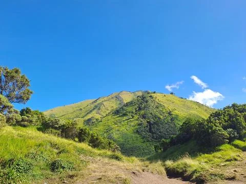Merbabu Mountain 库存照片