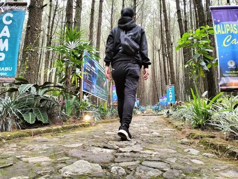 Merbabu park Stock Photos