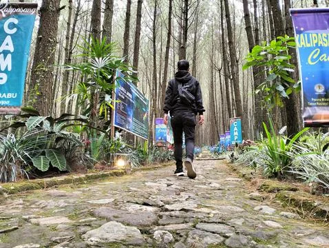 Merbabu park Stock Photos