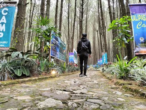 Merbabu park Stock Photos