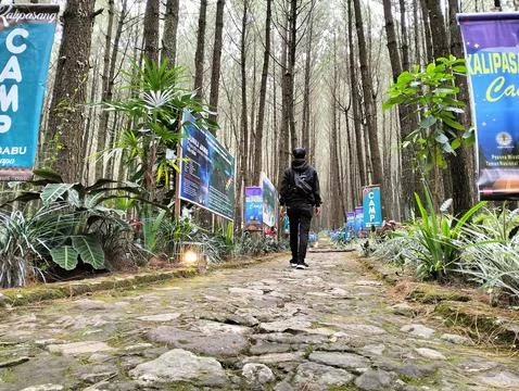 Merbabu park 库存照片