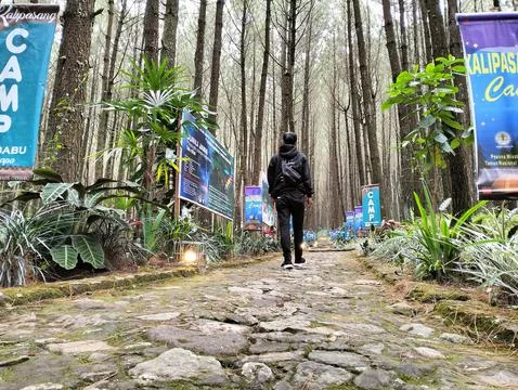 Merbabu park Stock Photos