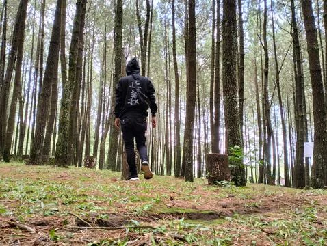 Merbabu park Stock Photos