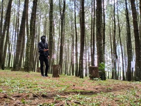 Merbabu park 库存照片