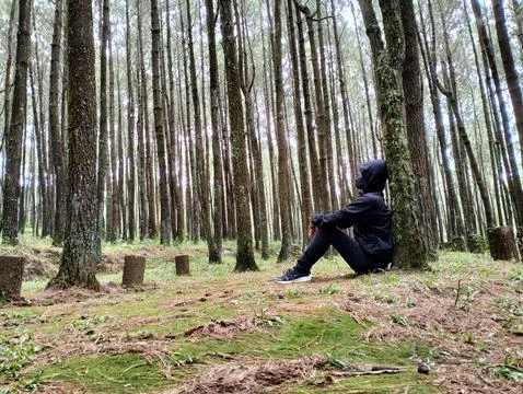 Merbabu park Stock Photos