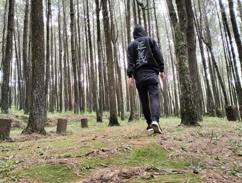 Merbabu park 库存照片