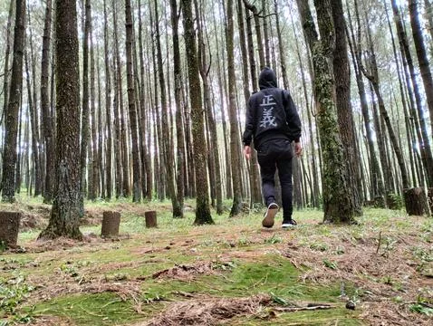 Merbabu park Stock Photos