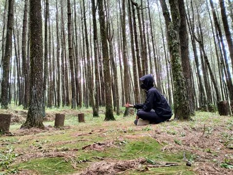 Merbabu park Stock Photos