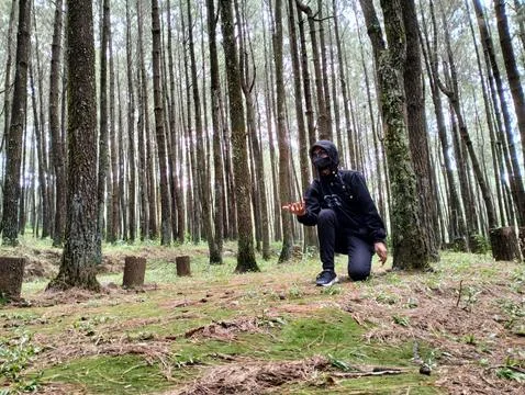 Merbabu park 库存照片
