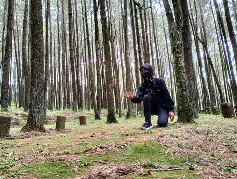 Merbabu park 库存照片