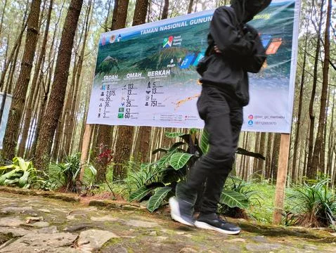 Merbabu park Stock Photos