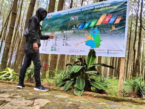 Merbabu park Stock Photos