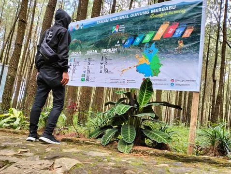 Merbabu park Stock Photos