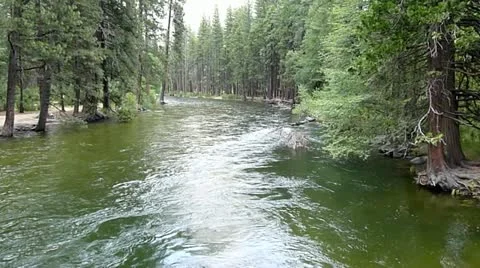 Merced River Stock Footage 12235983