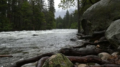 Merced river with rain Stock Footage 108197818