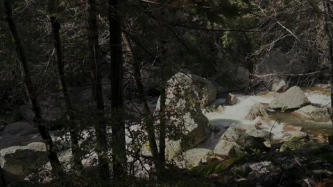 Merced River rapids seen through trees Yosemite Stock-Footage 347986457