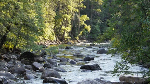 Merced river yosemite Stock Footage 25911884