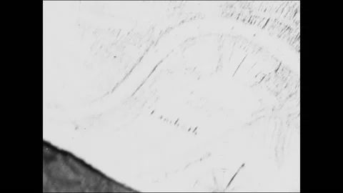 Merchant organized private local post office, but was banned shortly after, 1961 Stock Footage 167251869