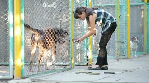 Merciful Act Stock-Footage 52567633