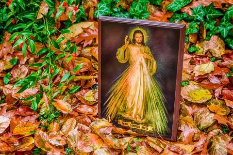 Merciful Jesus icon among fallen Autumn leaves Stock Photos