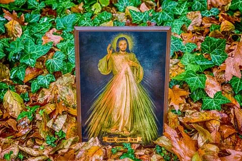 Merciful Jesus icon among fallen Autumn leaves Stock Photos
