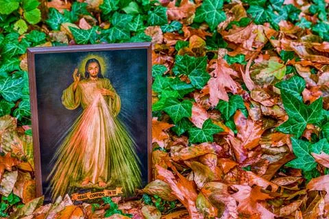 Merciful Jesus icon among fallen Autumn leaves Stock Photos