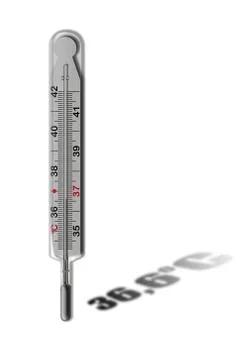 MERCURIAL THERMOMETER (36,6) ISOLATED Stock Illustration