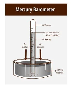 Mercury barometer vector illustration. Labeled atmospheric pressure tool. Stock Illustration