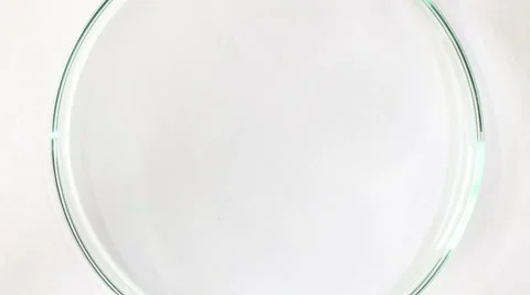 Mercury drop Video stock 62841597