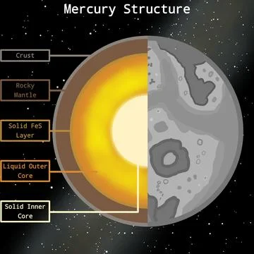 Mercury Internal Structure Infographic Stock Illustration