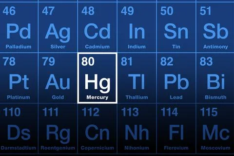Mercury on periodic table of the elements, heavy metal with symbol Hg Stock Illustration