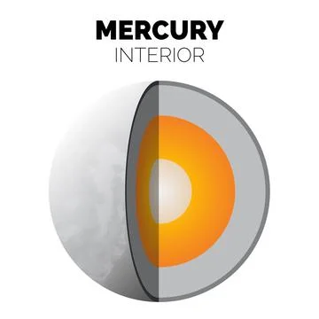 Mercury Planet Interior or Layers of the Mercury with Solid Core, Rocky Man.. Stock Illustration