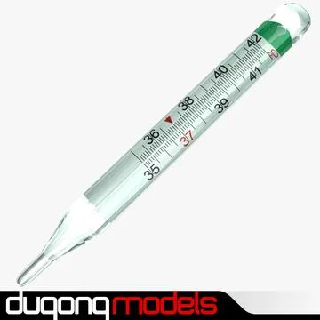 Mercury Thermometer 3D Model