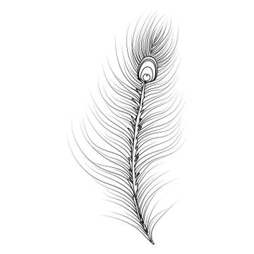 Merdi gras feather Stock-Illustration