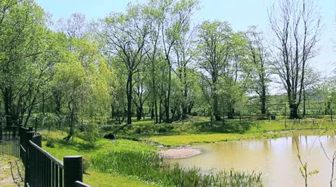 Mere Stock Footage 12123430