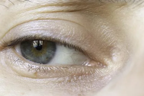 Mereuta Eugenia Stock Photos