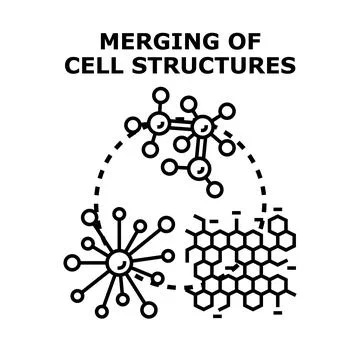 Merging cell structures concept vector line illustration Stock Illustration