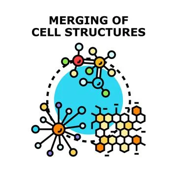 Merging cell structures concept vector line illustration Stock Illustration