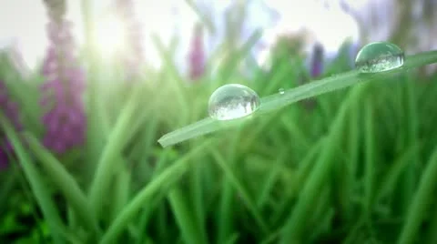 Merging drops Video stock 21989904