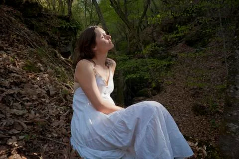 Merging with the Forest Stock Photos