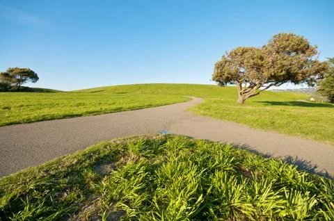Merging Path in green landscape environment Stock Photos