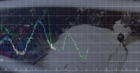 Merging polar bear with grid overlay on screen, red-blue-green graphs and axis Foto stock