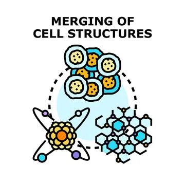 Merging scientific structures and elements concept 库存插图