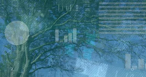 Merging tree trunk and twisting branches with digital data overlays under clear 스톡 사진
