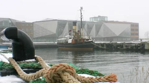 MerHan sculpture in Helsingor 스톡 동영상 46867809