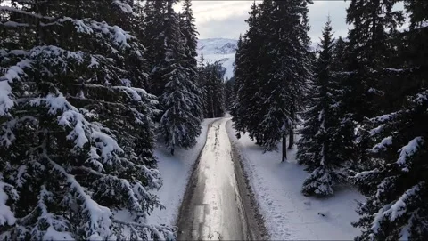 Meribel Forest Road Snow Pine Trees Low Flight Aerial Drone Video Winter 4K 動画素材 336288372