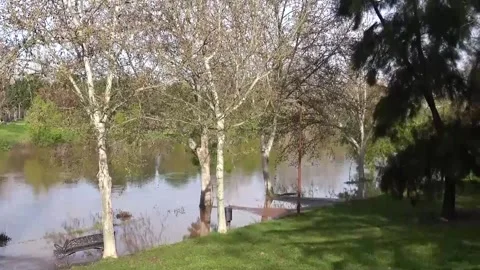 The Mérida City Hall urges not to transit near river due to increase in water le Stock Footage 304519360