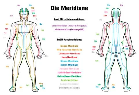 Meridian System Description Chart GERMAN Stock Illustration